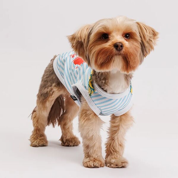 Футболка с галстуком для собак Cool, S, голубая