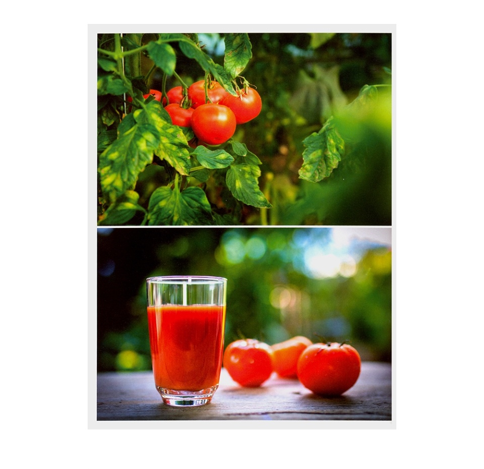 

Книга «Большая книга о заготовках, постах и праздниках», О.Ольхов, «ХлебСоль», Россия