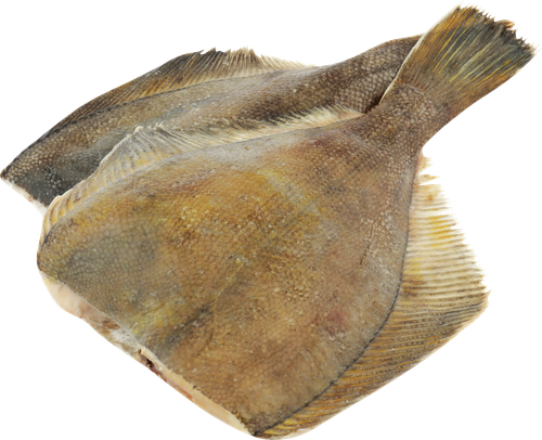 

Камбала потрошеная обезглавленная замороженая вес