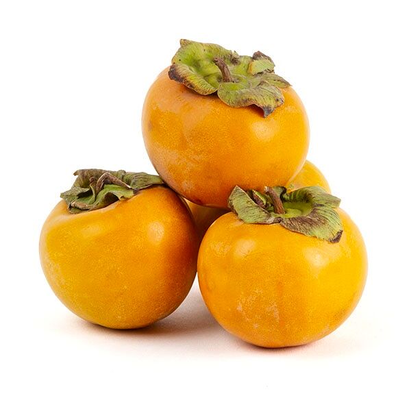 Хурма королек