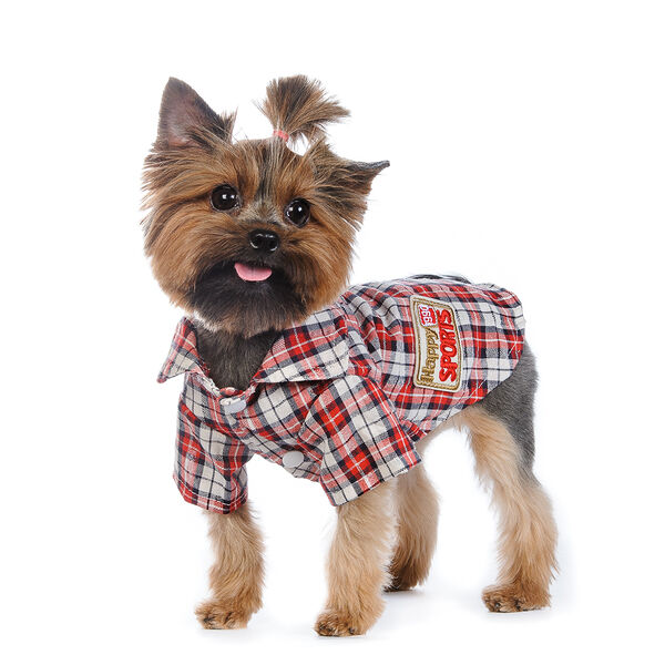 Рубашка для собак XL красный (унисекс)