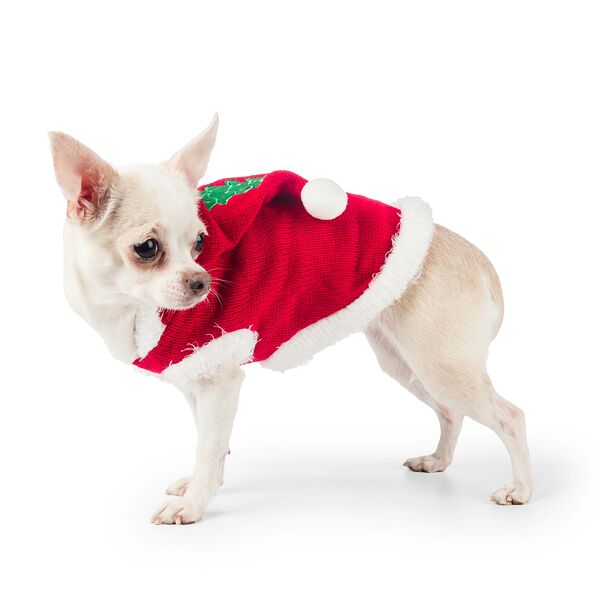 Свитер с капюшоном для собак Petmax 2XL красный (унисекс)