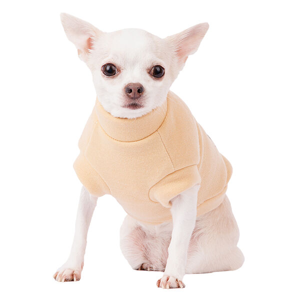 Толстовка для собак S бежевый (унисекс)