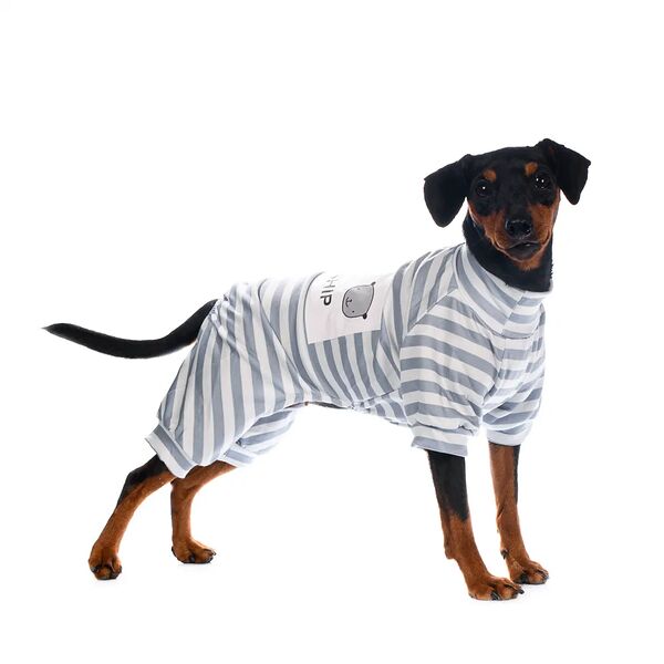 Костюм для собак M серый (унисекс)