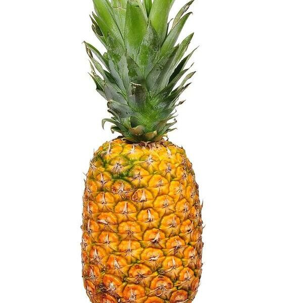 Ананас Самолёт