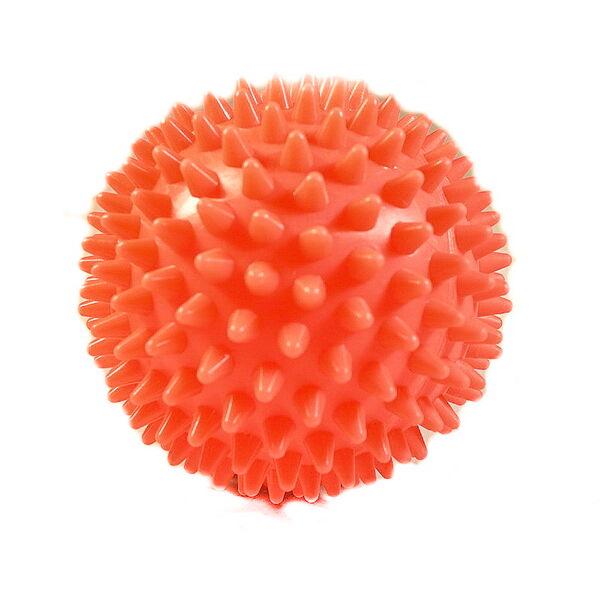 Игрушка для собак Мяч для массажа 9,5 см