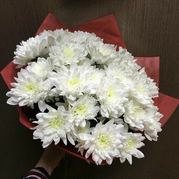 Букет «счастливая Хризантема»