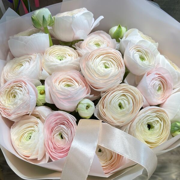 Букет из нежно-розовых ранункулюсов