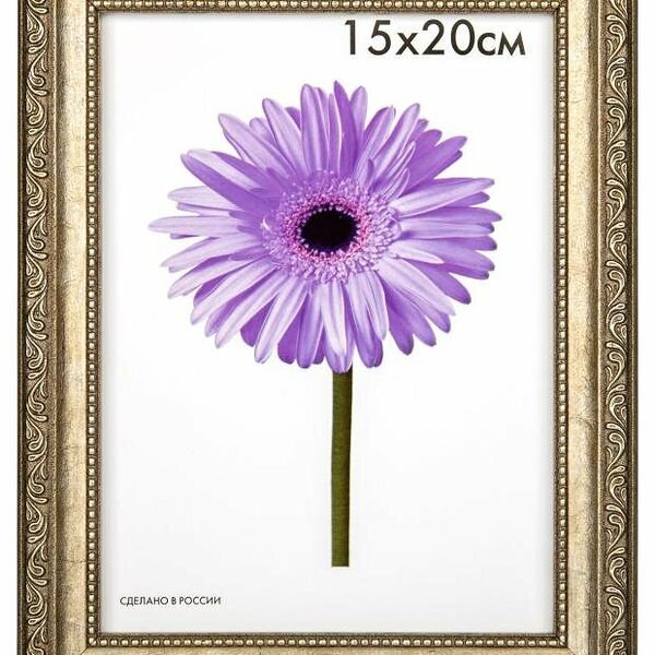 Фоторамка Daniella серебро, 15x20 см