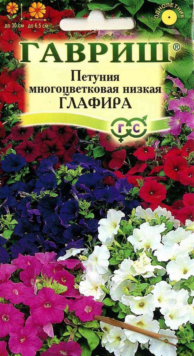 

Семена Гавриш Петуния Глафира многоцветковая низкая 1 г