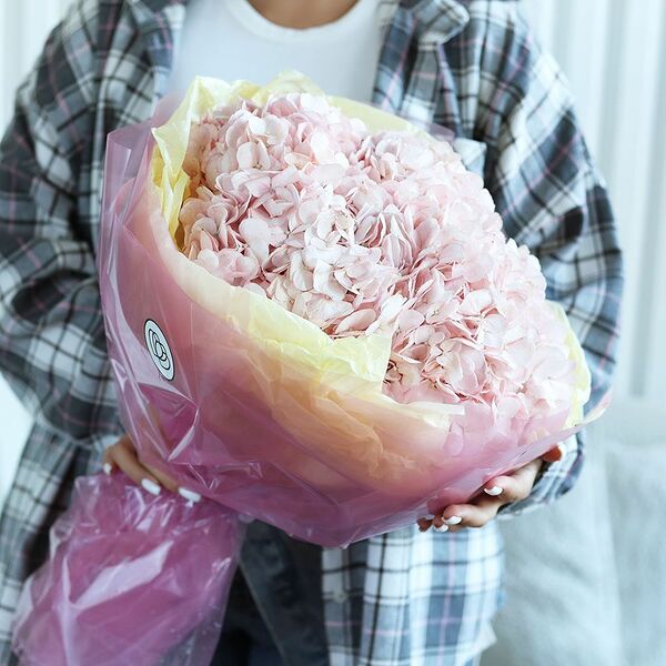 Букет из 5 розовых гортензий в розовой полупрозрачной круглой упаковке