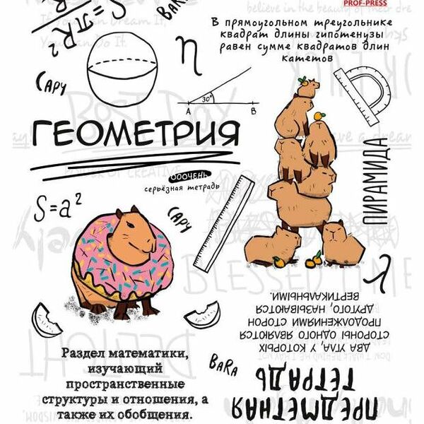 Тетрадь предметная Prof-Press Капибара Геометрия в клетку А5, 48 л