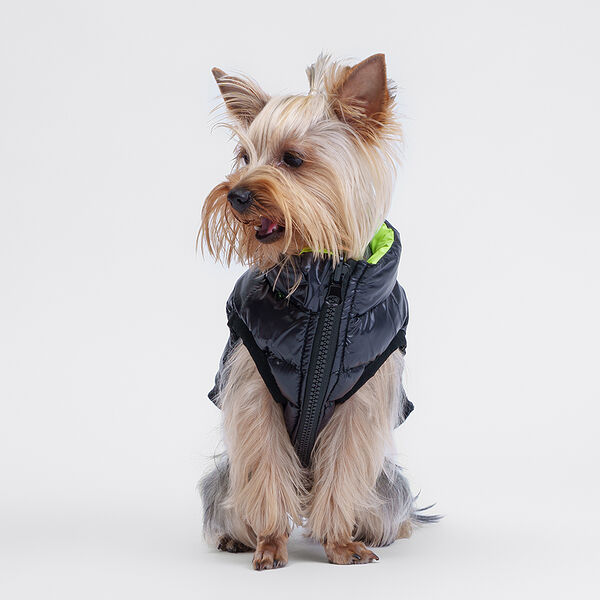 Куртка для собак Rurri черно-салатовая двухсторонняя XS