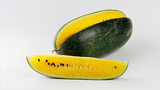 Арбуз желтый Яйцо Дракона