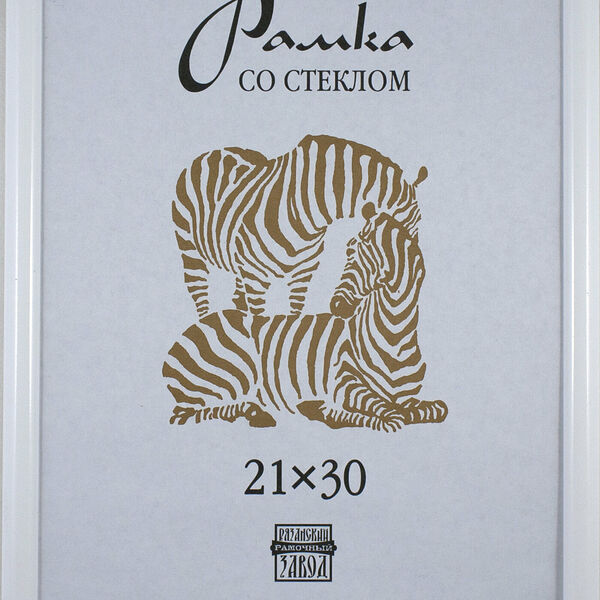 Рамка пластиковая А 4 белого цвета 500