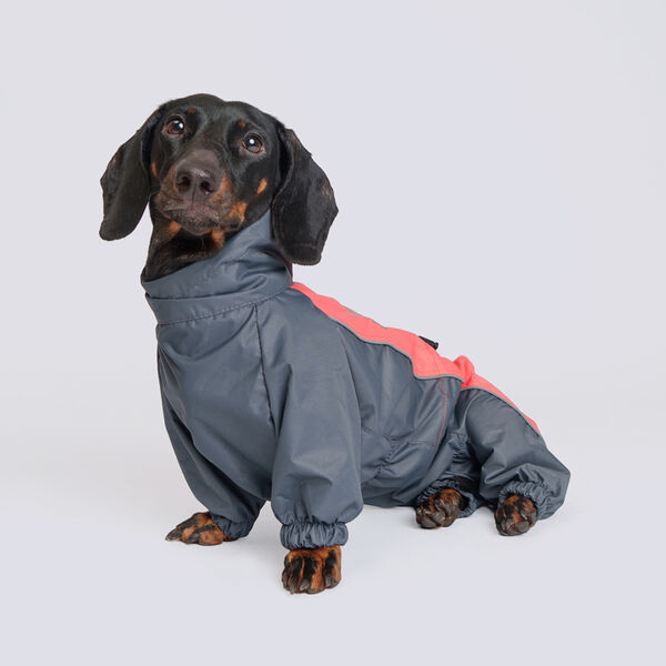 Rungo Дождевик Такса средняя девочка коралл