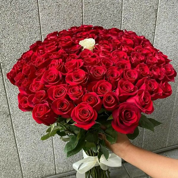 101 красная роза