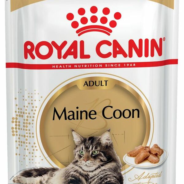 Корм для кошек влажный Royal Canin Maine Coon, мясо, кусочки в соусе, 85г