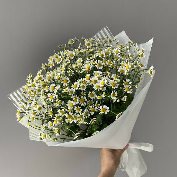 Моно из ромашек