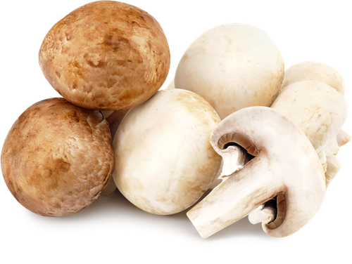 

Шампиньоны ЛЕНТА FRESH микс