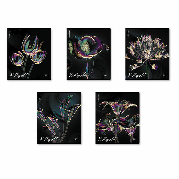 Тетрадь общая ErichKrause X-Ray Art на скобе в клетку А5, 96 л, в ассортименте 1 шт