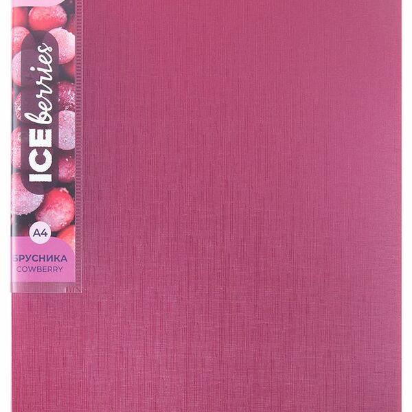 Папка Expert Complete с металлическим зажимом Брусника А4