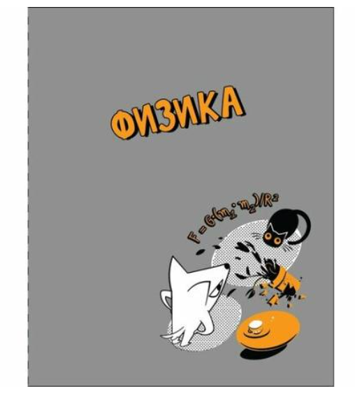 Тетрадь предметная Academy Style Физика клетка А5, 48 л