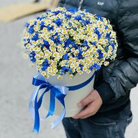 Изображение 4