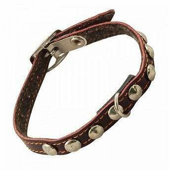 Ошейник для животных однослойный Gamma с расширением, 25 см