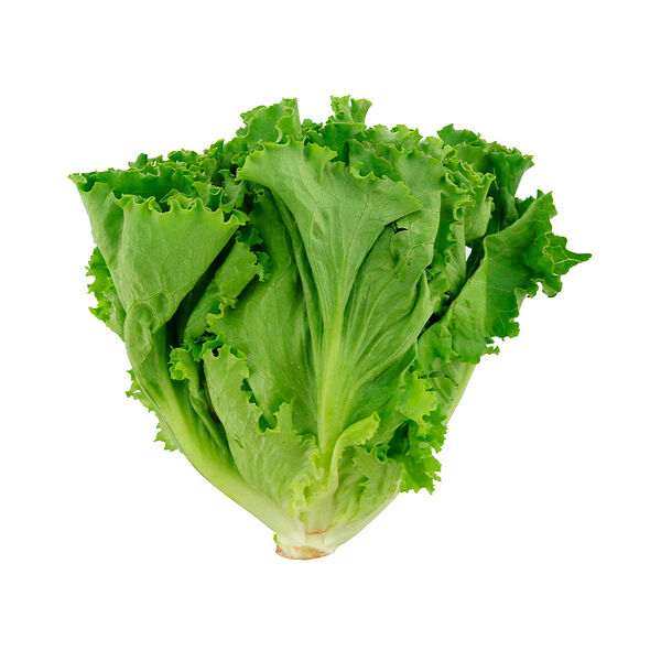 Салат листовой свежий вес Зеленая лавка