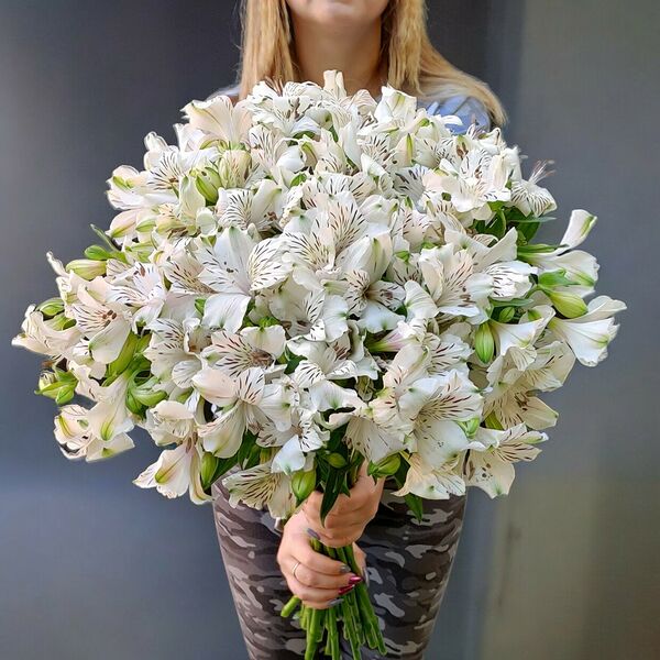 Букет из белой альстромерии №880