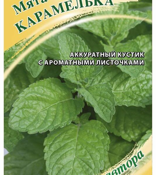Семена мята карамелька ТМ Гавриш 5 г
