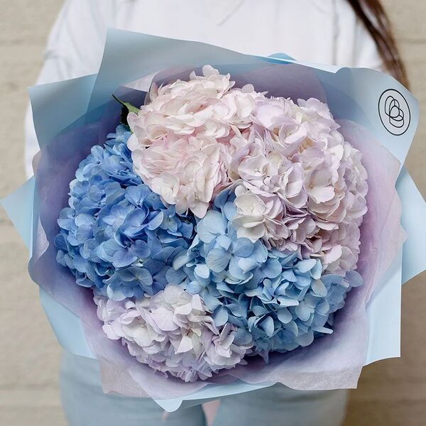 Букет из 5 сиреневых, голубых и розовой гортензии