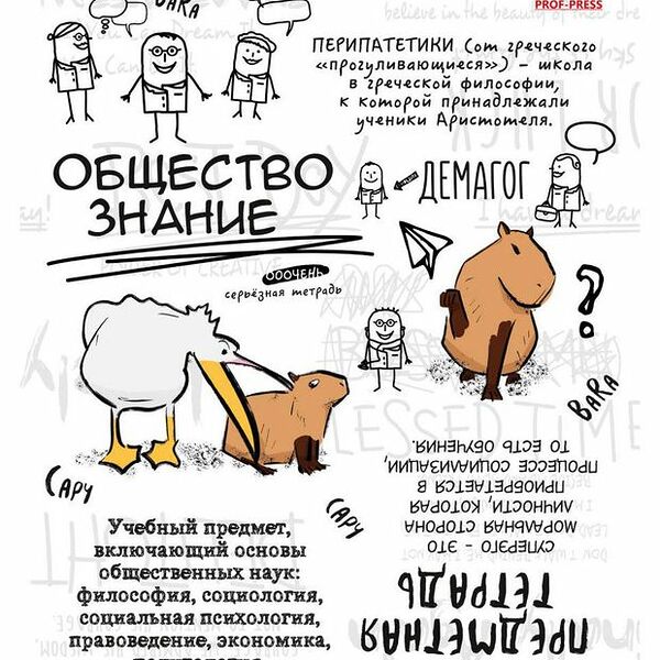 Тетрадь предметная Prof-Press Капибара Обществознание в клетку А5, 48 л