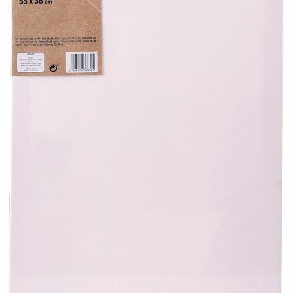 Холст АШАН Красная птица 10Р, 55х38 см