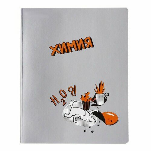 Тетрадь предметная Academy Style Химия клетка А5, 48 л