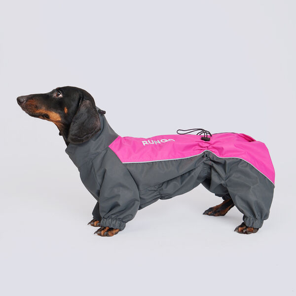 Дождевик для собак Rungo Такса большая, девочка, малина