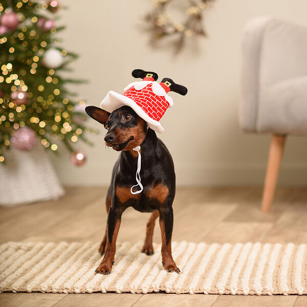 Колпак новогодний с ногами для собак, 22 см