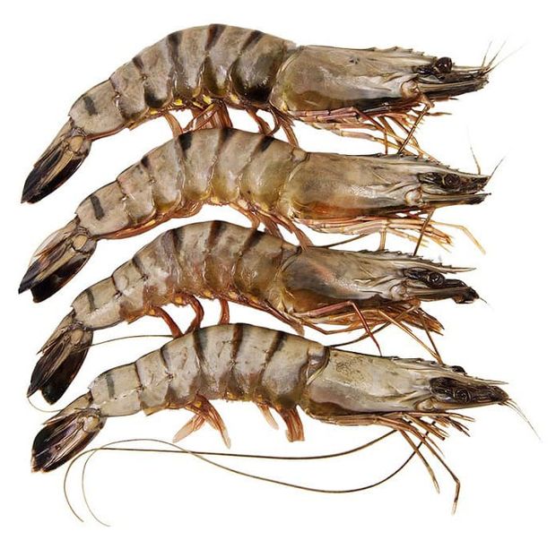 

Креветки Моремания Черные тигровые свежемороженые 16-20