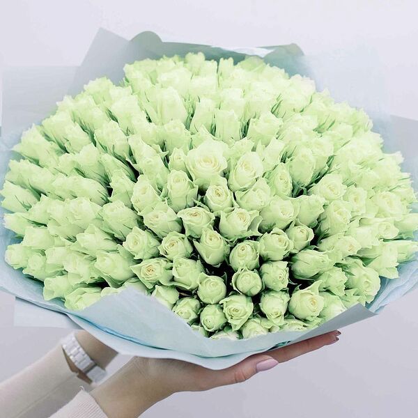 Букет из 151 белой розы 40 см (Кения) в голубой пленке