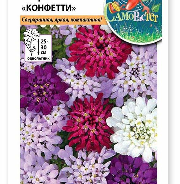 Семена Русский огород Само растет, Иберис Конфетти, смесь, 0.1 г