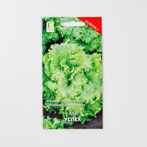 Семена Салат Поиск Успех
