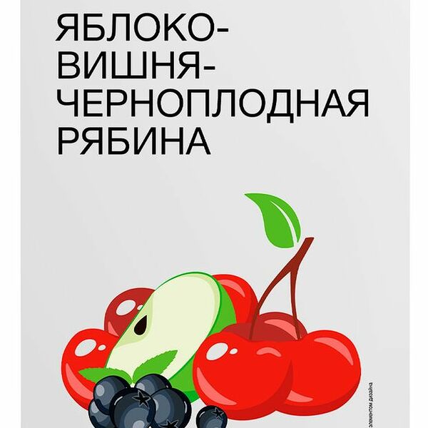 Нектар Каждый день яблоко-вишня-черноплодная рябина 200 мл