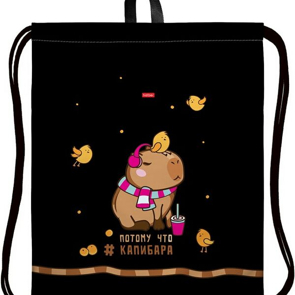 Мешок для сменной обуви Hatber Потому что Капибара 41*49см