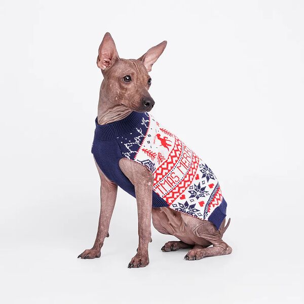 Свитер с оленями для собак, 2XL, 41 см, красно-синий