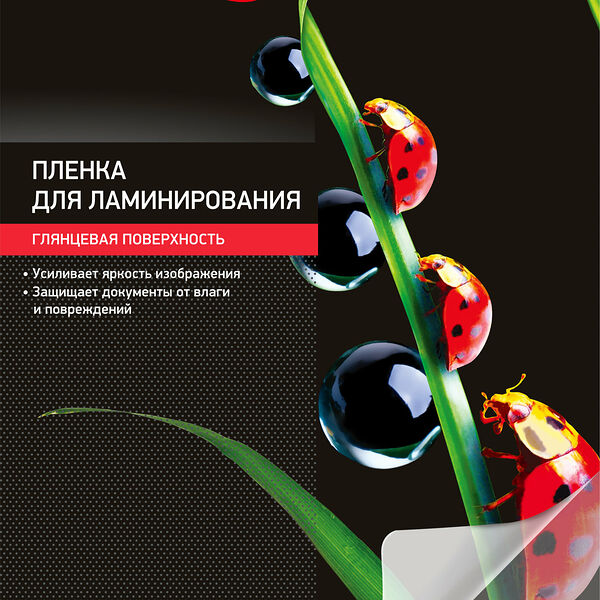 Пленка для ламинирования Promega office А4, 80мкм 100шт/уп.