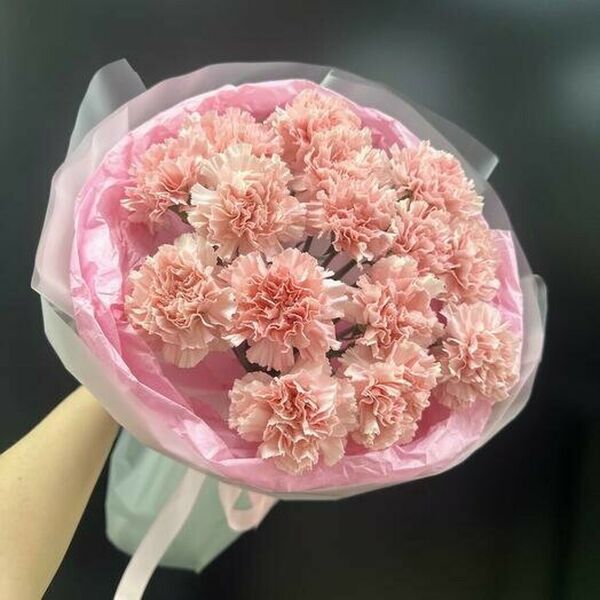 Диантусы (гвоздика)