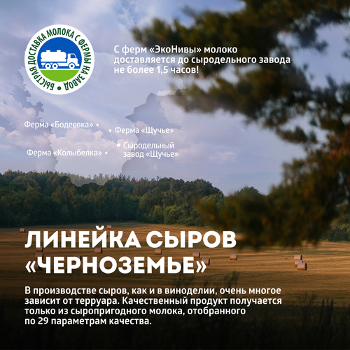 

Сыр полутвердый Щучанский 50%, ЭкоНива, весовой