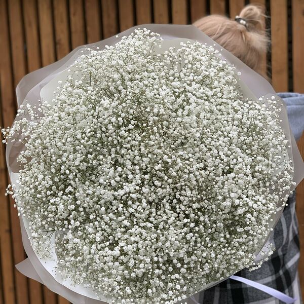 Белые гипсофилы