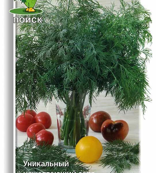 Укроп Салют Поиск